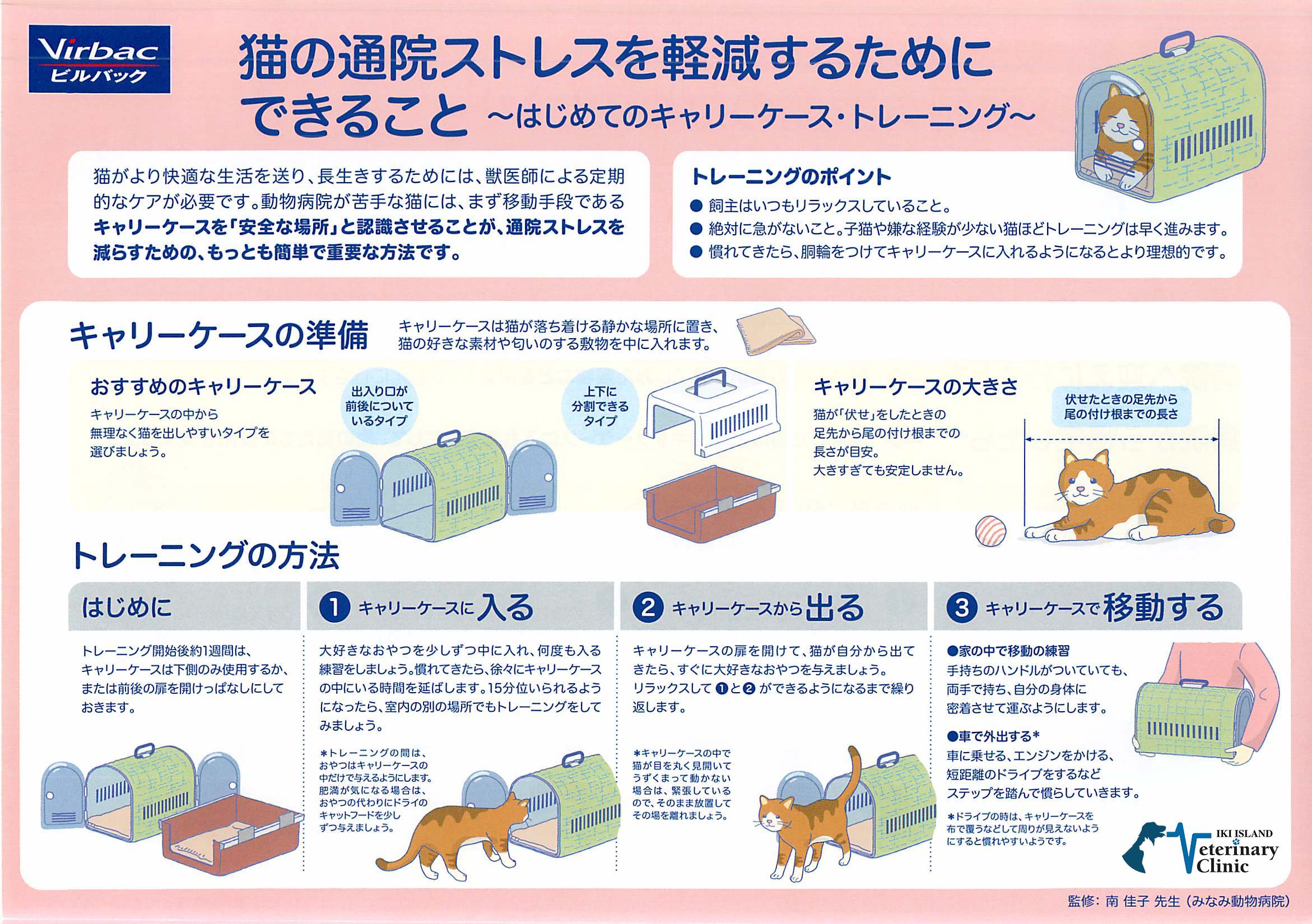 猫ちゃんの通院ストレスを軽減しよう 壱岐動物病院