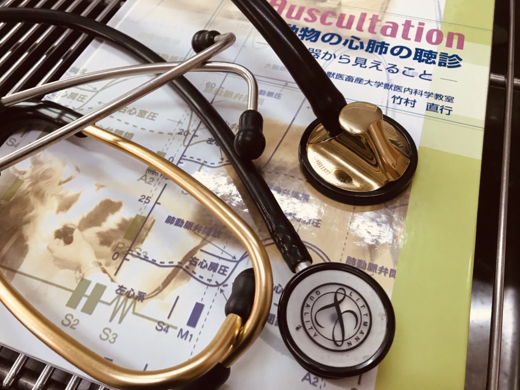 聴診器について – 壱岐動物病院