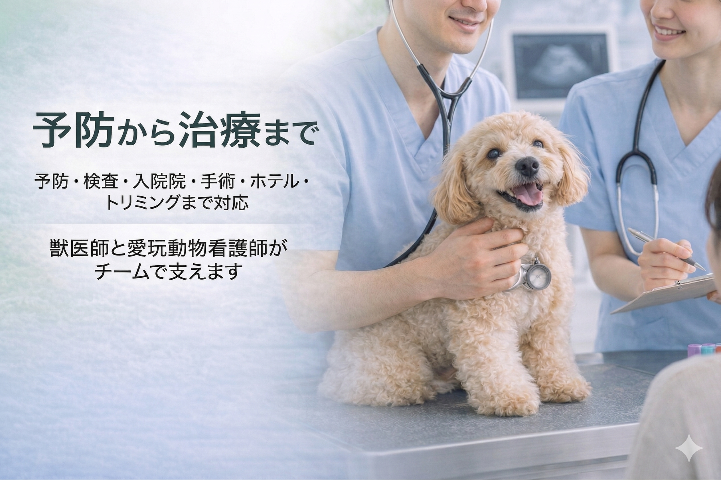 壱岐動物病院 病院 案内