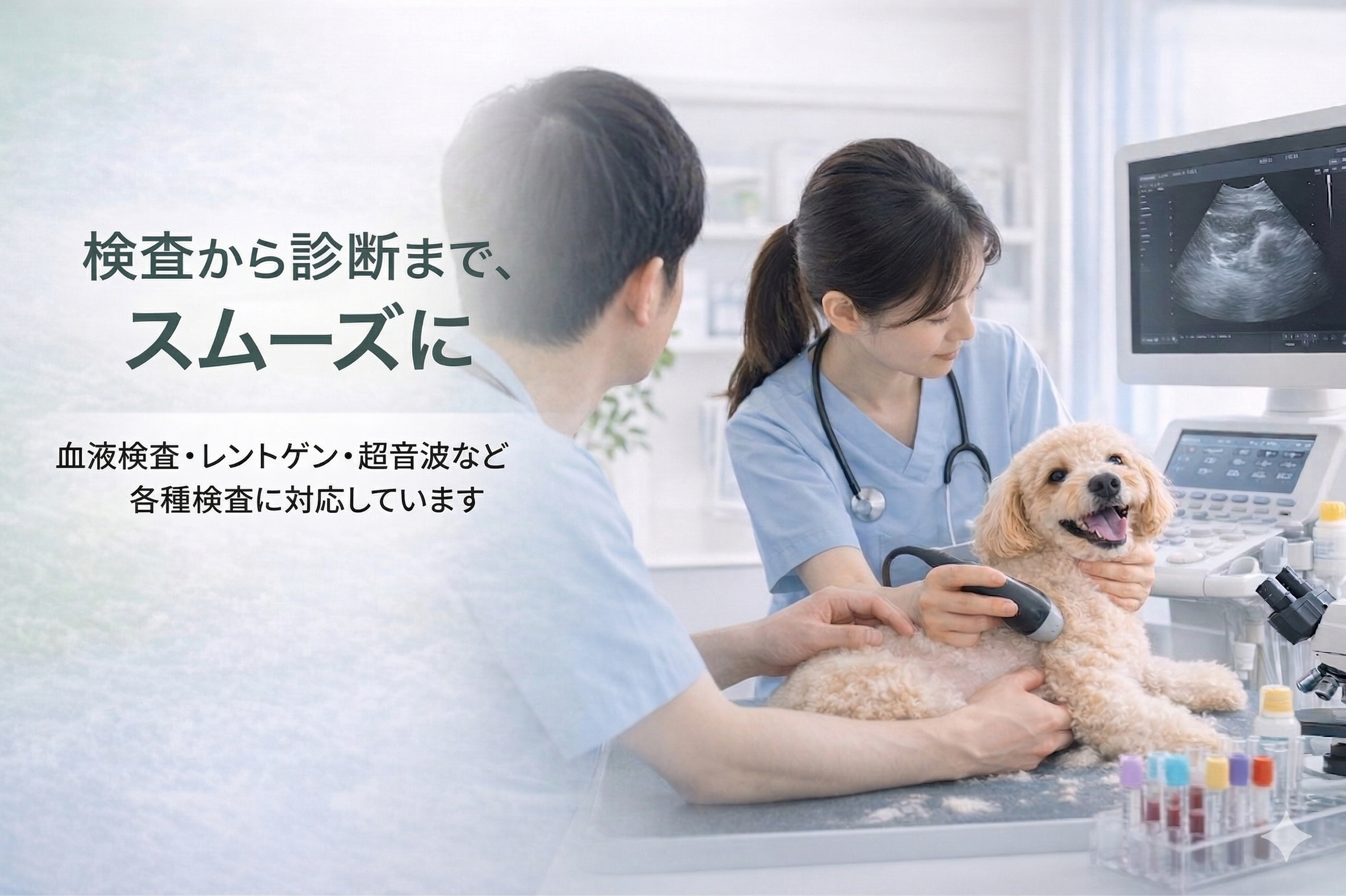 壱岐動物病院 検査 案内